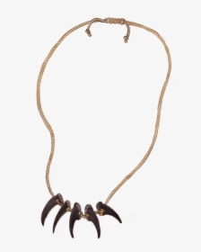 Claw Necklace Png, Transparent Png, Free Download