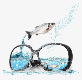 And Sunglasses Poster Fish Ocean Advertising In Clipart - Portable Network Graphics, HD Png Download, Free Download