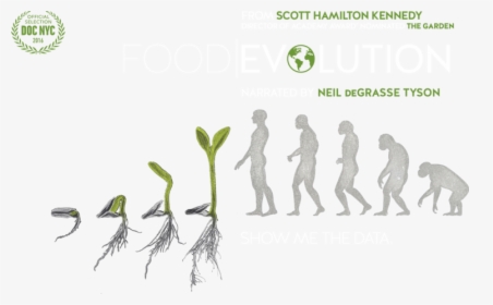 Food And Evolution, HD Png Download, Free Download