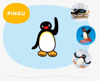 Pingu, HD Png Download, Free Download