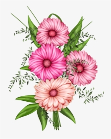 Peony Clipart Cluster - Transparent Clip Art Flower, HD Png Download, Free Download