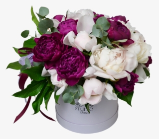 Explosion Of Peonies Flower Shop Studio Flores - Garden Roses, HD Png Download, Free Download