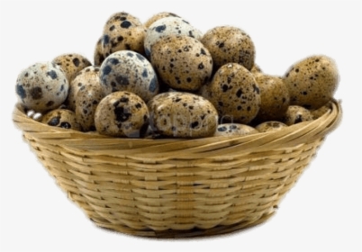 Download Basket Of Eggs Transparent Background - Quail And Her Eggs, HD Png Download, Free Download