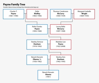 Payne Family Tree - House Payne Family Tree, HD Png Download, Free Download