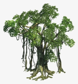 Realistic Tree Free Png Image - Realistic Jungle Tree Png, Transparent Png, Free Download