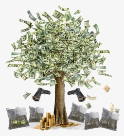 Money Tree Images Hd , Png Download - Money Tree With Dollars, Transparent Png, Free Download