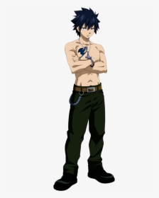 Gray Fairy Tail Png, Transparent Png, Free Download