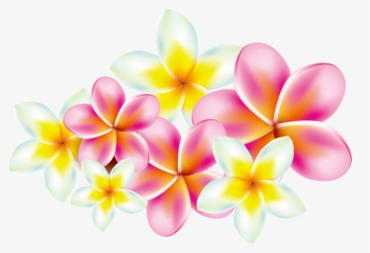 Frangipani Clip Art Transprent - Plumeria Flowers Clip Art, HD Png Download, Free Download