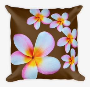 Transparent Plumeria Flower Png - Cushion, Png Download, Free Download