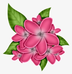 0 1a507c 18d9300d Orig Flower Clipart, Diy Flowers, - Frangipani, HD Png Download, Free Download