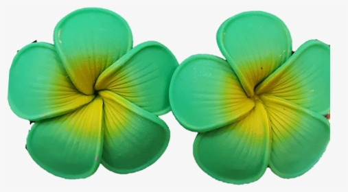 Small Green Plumeria Earrings - Frangipani, HD Png Download, Free Download