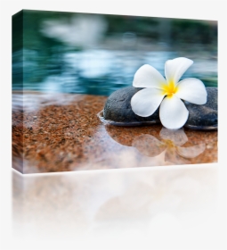 Tranquil Spa, HD Png Download, Free Download