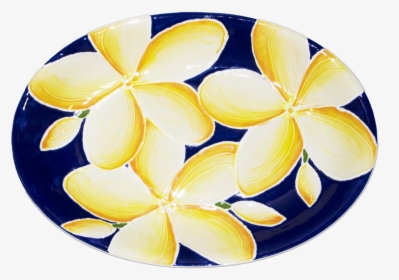 Circle, HD Png Download, Free Download