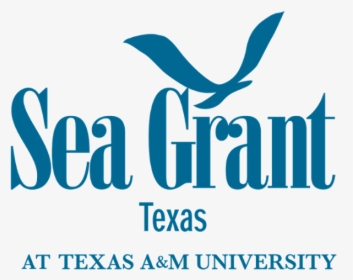 Texas Sea Grant Awards Research Funding To Seven Islander - Texas Sea Grant Logo, HD Png Download, Free Download