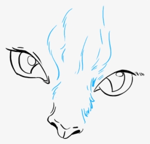 How To Draw Cat Eyes - Cat Eyes Draw, HD Png Download, Free Download