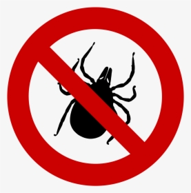 Tick, Tick-plage, Sting, Insect, Plage, Ban, Protection - No Left Turn Traffic Sign, HD Png Download, Free Download