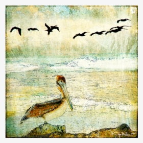 Duck, HD Png Download, Free Download