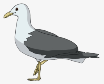Great Black-backed Gull, HD Png Download, Free Download