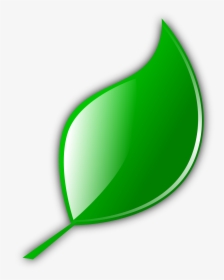 Leaf, Leave Icon Png - Small Leave, Transparent Png, Free Download