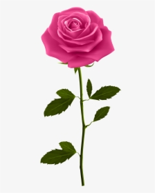 Red Rose Petals Png Download - Pink Rose With Stem, Transparent Png, Free Download