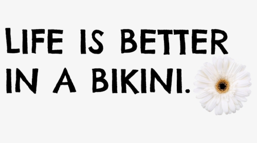 Quotes Summer 2016 - Maker Culture, HD Png Download, Free Download