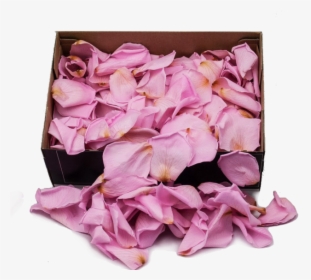Preserved Rose Petals Hot Pink - Artificial Flower, HD Png Download, Free Download