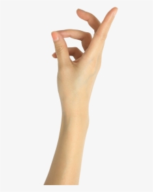 Woman Hand Png - Photo Shoot, Transparent Png, Free Download