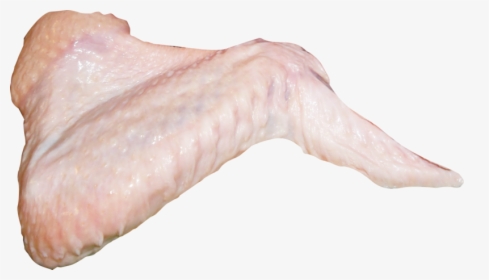 Transparent Raw Chicken Wings Png, Png Download, Free Download