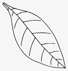 Clipart - Apple Leaf Clipart Black And White, HD Png Download, Free Download