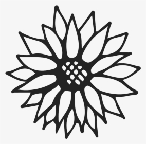 Sunflower Black And White, HD Png Download, Free Download