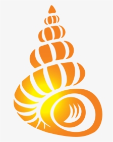 Shell Clipart Spindle - Bailey Matthews Shell Museum, HD Png Download, Free Download