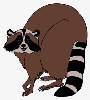 Transparent Racoon Png - Cartoon Brown Raccoon Png, Png Download, Free Download