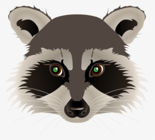 Raccoon Face Drawing At - Racoon Face Drawing, HD Png Download, Free Download