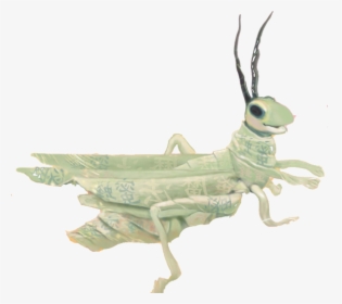 Origami Grasshopper Adventures - Locust, HD Png Download, Free Download