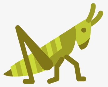 Grasshopper Clipart Pencil - Grasshopper Png, Transparent Png, Free Download