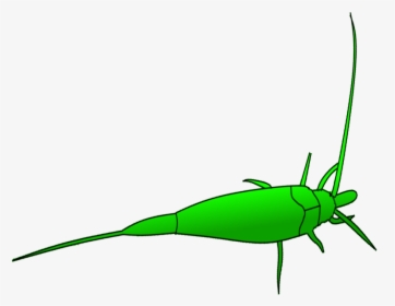 Grasshopper Clipart Dead, HD Png Download, Free Download