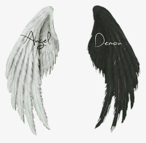 #wings #angel #demon - Transparent Background Dark Wings Png, Png Download, Free Download