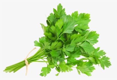 Parsley Png, Transparent Png, Free Download