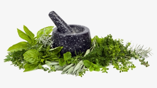 Mortar And Pestle,herb,leaf - Quotes On Home Remedies, HD Png Download, Free Download
