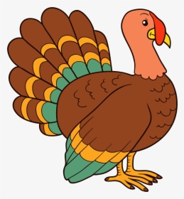 Turkey Bird Png - Turkey Clipart Transparent Background, Png Download, Free Download
