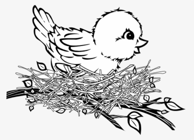 Cartoon Birds Nest - Baby Bird In Nest Drawing, HD Png Download, Free Download