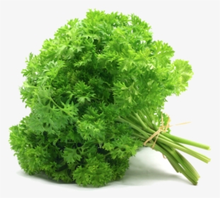 Parsley Leaves, HD Png Download, Free Download