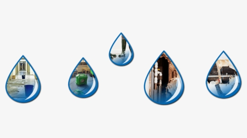 Plumbing Leak Detection And Water Damage Mitigation - Emblem, HD Png Download, Free Download