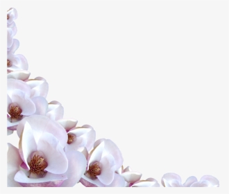 Flower Borders Images Free - Flower Border White Png, Transparent Png, Free Download