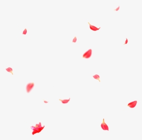 Beautiful Flower Petals Falling Png - Heart, Transparent Png, Free Download