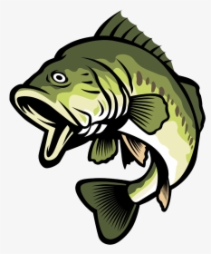 Collection Of Free Bass Vector Largemouth Download - Bass Fish Clipart, HD Png Download, Free Download