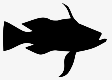 Longtail Bass Fish Shape, HD Png Download, Free Download