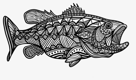 Coho, HD Png Download, Free Download