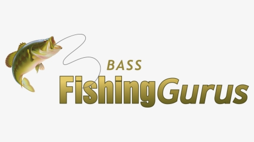 Bass Fishing Gurus - Fishing Logo Color, HD Png Download, Free Download
