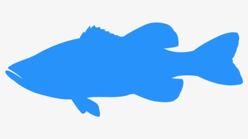 Transparent Largemouth Bass Silhouette, HD Png Download, Free Download